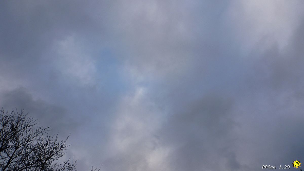 P1020100.JPG