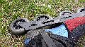P1020121_.JPG